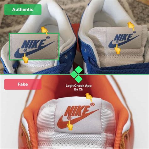 fake nike sbs|are nike shoes a scam.